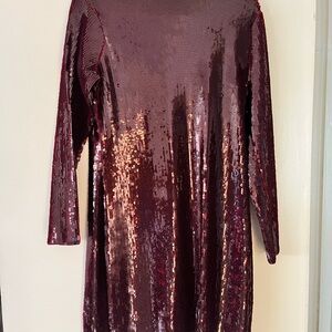 Express Burgundy Sequin Long Sleeve Dress